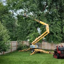 Grass Overseeding in Chester Center, CT